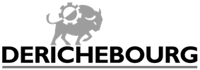 Derichebourg_logo