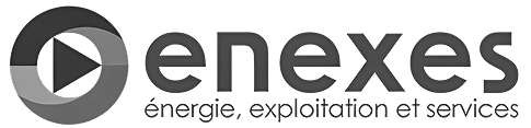logo-enexes